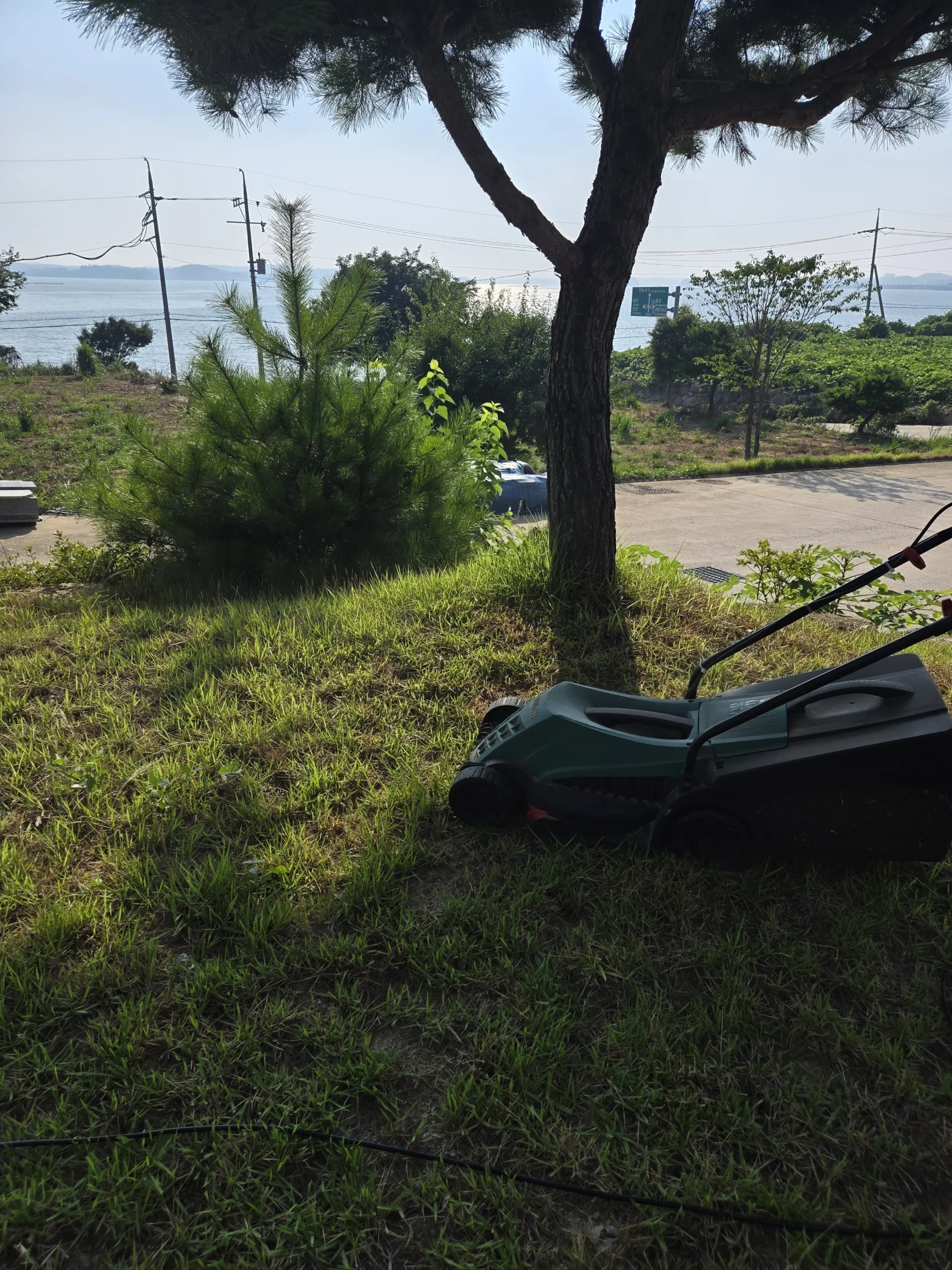퇴직 후 잔디관리 실전교육 교육사례
